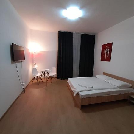 Piata Unirii- 1 Room Studio Apartment Timişoara Buitenkant foto