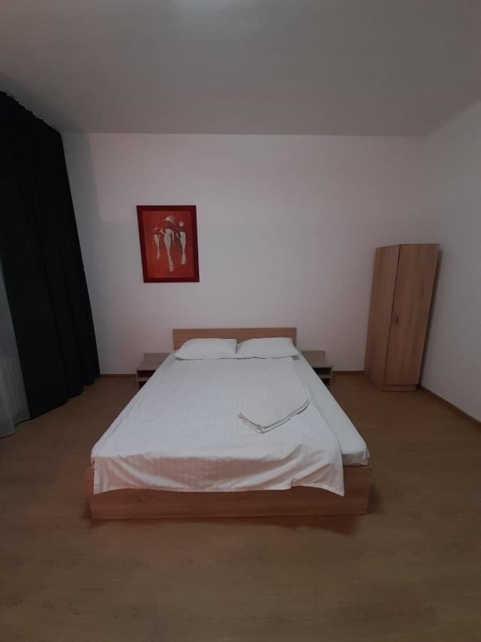 Piata Unirii- 1 Room Studio Apartment Timişoara Buitenkant foto