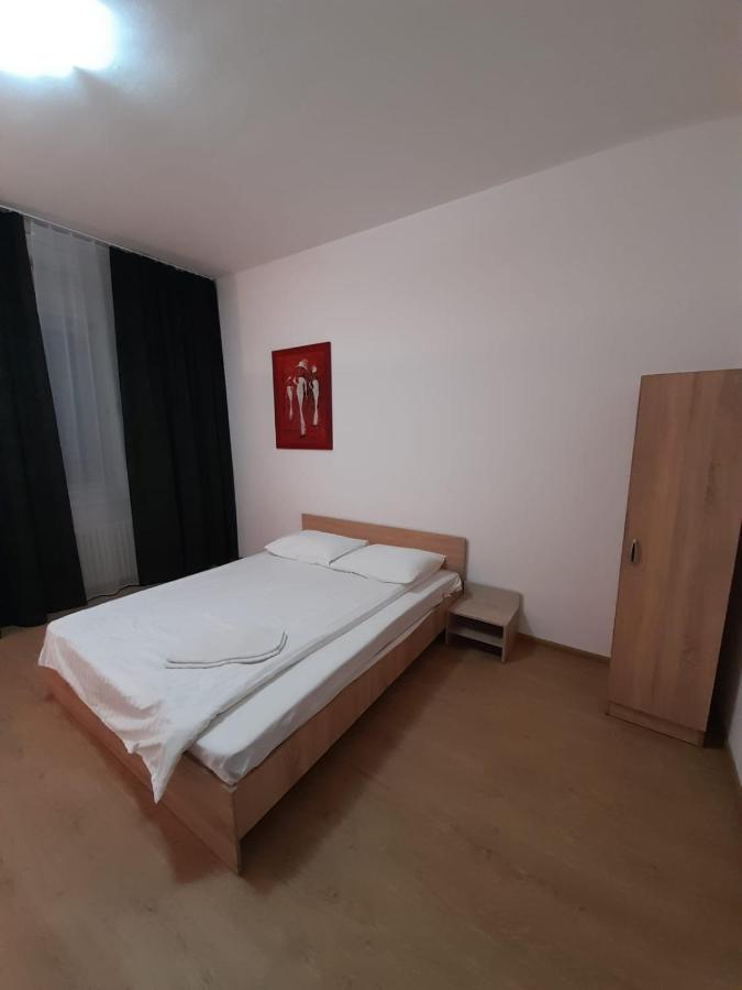Piata Unirii- 1 Room Studio Apartment Timişoara Buitenkant foto