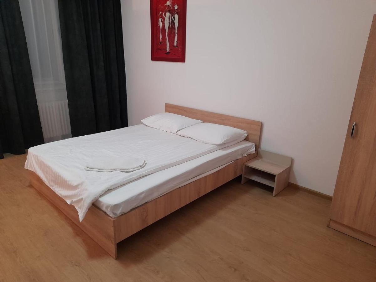 Piata Unirii- 1 Room Studio Apartment Timişoara Buitenkant foto
