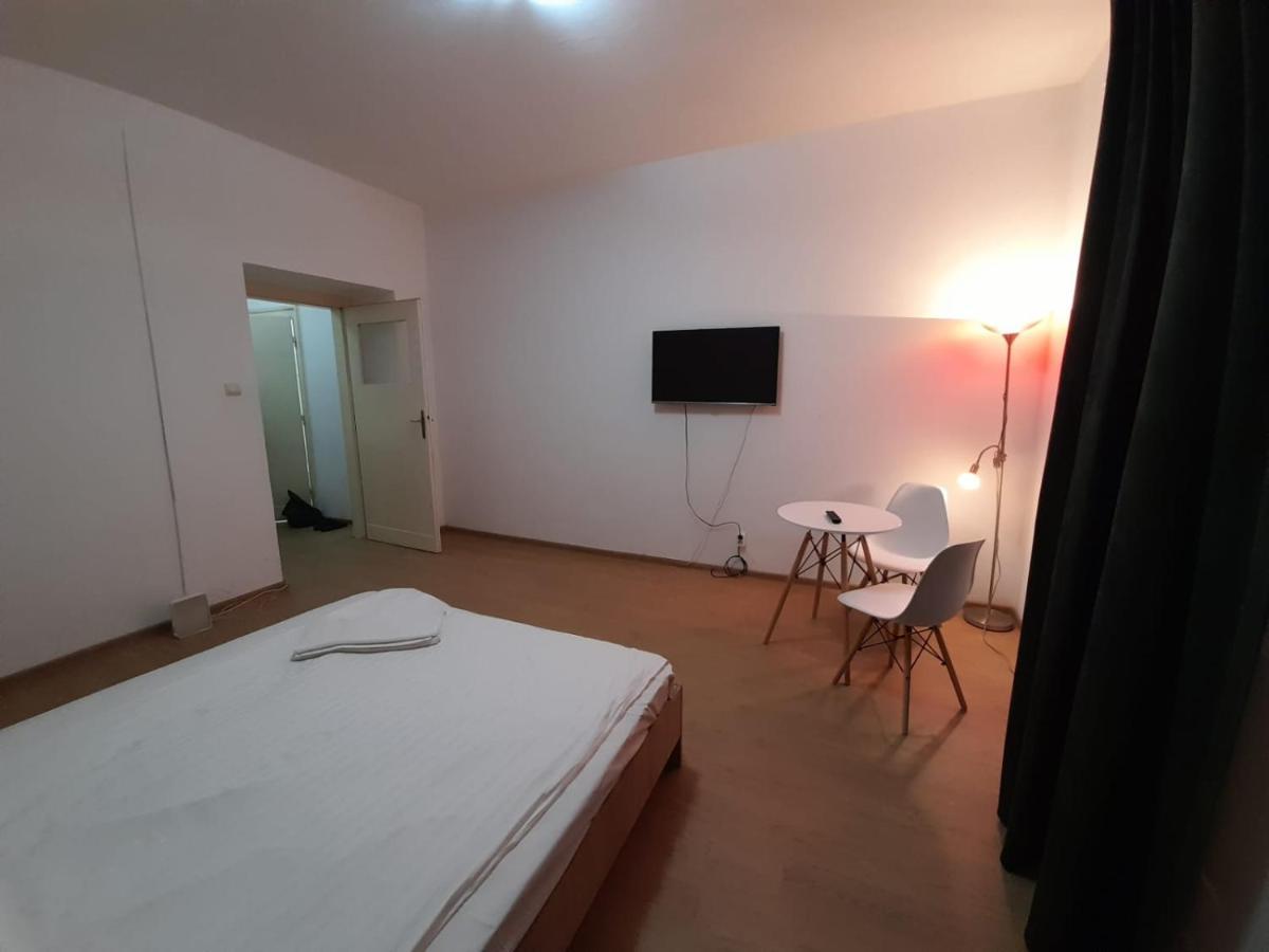 Piata Unirii- 1 Room Studio Apartment Timişoara Buitenkant foto