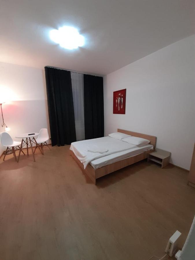Piata Unirii- 1 Room Studio Apartment Timişoara Buitenkant foto